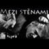 Mezi st�nami: Film Davida Vignera o �ikan� na z�kladn� �kole